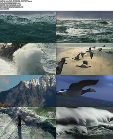 歌曲《海阔天空》大屏幕背景