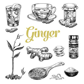 生姜手绘 手绘姜片 柠檬茶