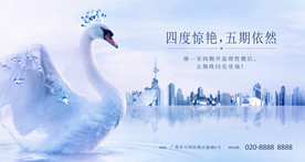 高级白天鹅海报