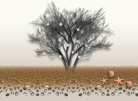 鹅卵石树木玄关