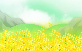 油菜花卡通植物背景展板