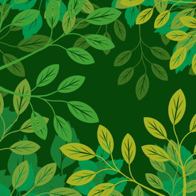 绿色植物树叶背景