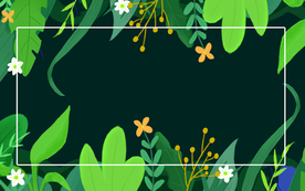 插画绿色树叶植物背景