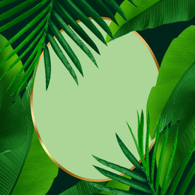 绿色植物边框背景