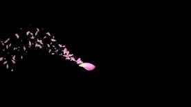 荷叶花瓣拖尾粒子特效视频