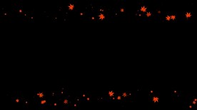 枫叶遮罩边框前景装饰视频带通道