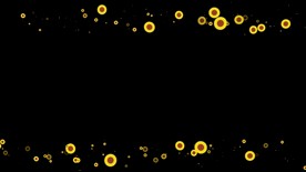 向日葵遮罩边框前景装饰视频带通