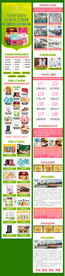 食品详情页推广拉页