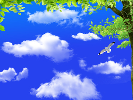 蓝天白云