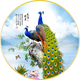 孔雀装饰画