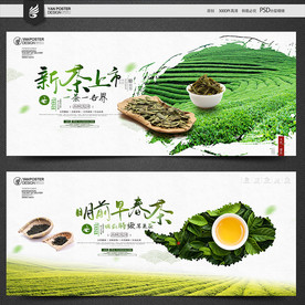 新茶上市