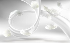 现代简约丝绸羽毛电视背景墙