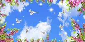 蓝天白云鸽子