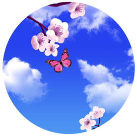 蓝天樱花