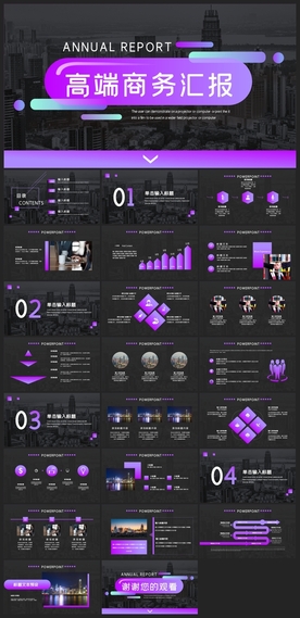 商务会议汇报项目介绍PPT