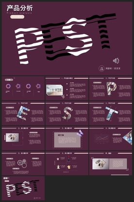 商务会议汇报项目介绍PPT