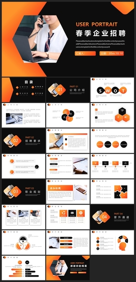 商务会议汇报项目介绍PPT