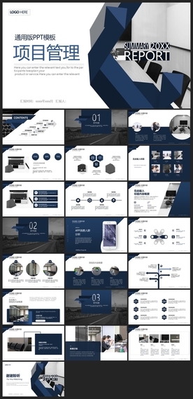 商务会议汇报项目介绍PPT