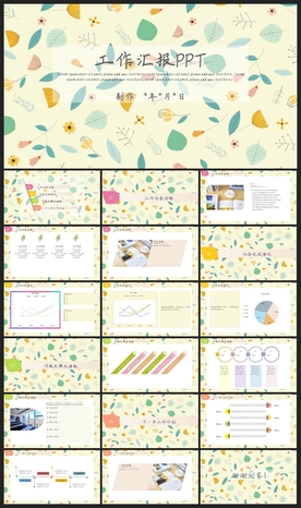 商务会议汇报项目介绍PPT