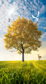 梅花鹿大树玄关