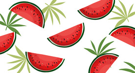 西瓜手绘插画