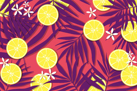 手绘柠檬插画设计