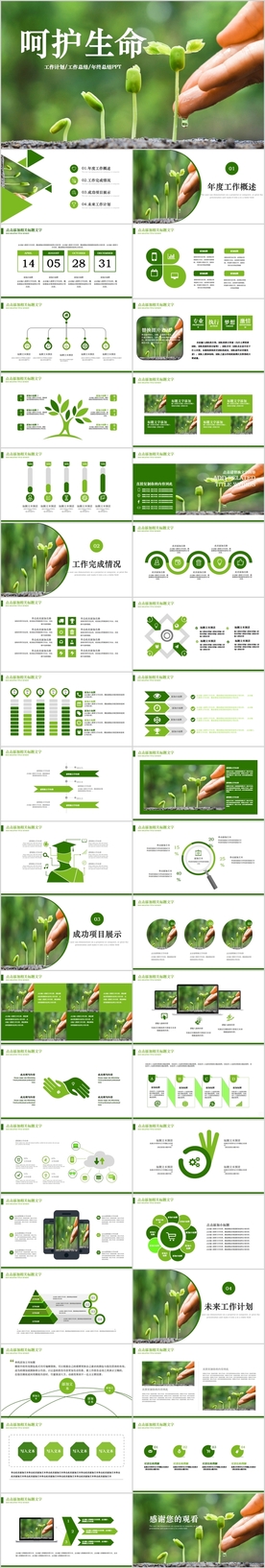 呵护生命绿色小苗发芽生长PPT
