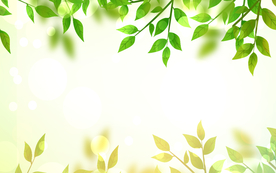 卡通绿色树叶春夏背景