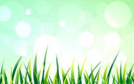 绿色植物草装饰背景