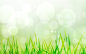 春季装饰光影背景