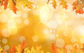 黄色装饰光斑植物背景