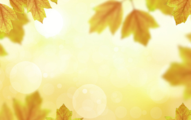 卡通装饰树叶背景