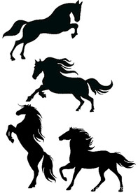 马 剪影 图形 动物