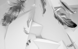 羽毛灰色装饰画 TIF分层