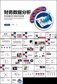 财务数据财务数据分析报告ppt