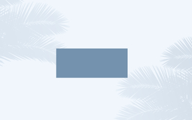 卡通装饰莫兰迪背景