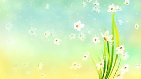 炫酷动感美丽小清新花朵动态视频