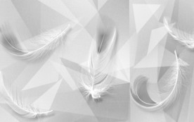 羽毛灰色装饰新画 TIF分层