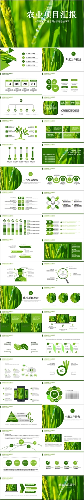 农业汇报农业生产水稻种植PPT