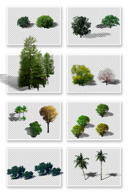PS园林植物素材