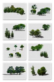 PS园林植物素材