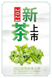 新茶上市