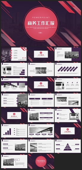 商务会议汇报项目介绍PPT