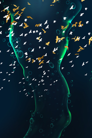 抽象飞鸟装饰画