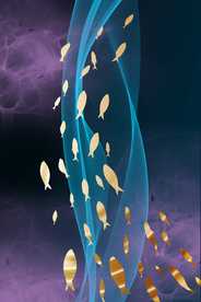 梦幻鱼群装饰画