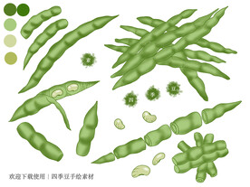 四季豆手绘素材