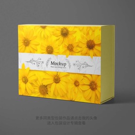 礼品包装盒平面设计图