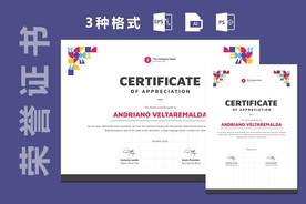 荣誉证书时尚横版 竖版 证书