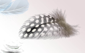 羽毛电视背景墙