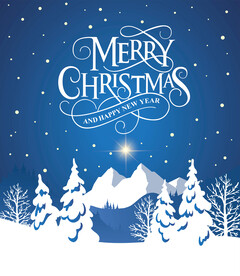 圣诞节元素插画设计